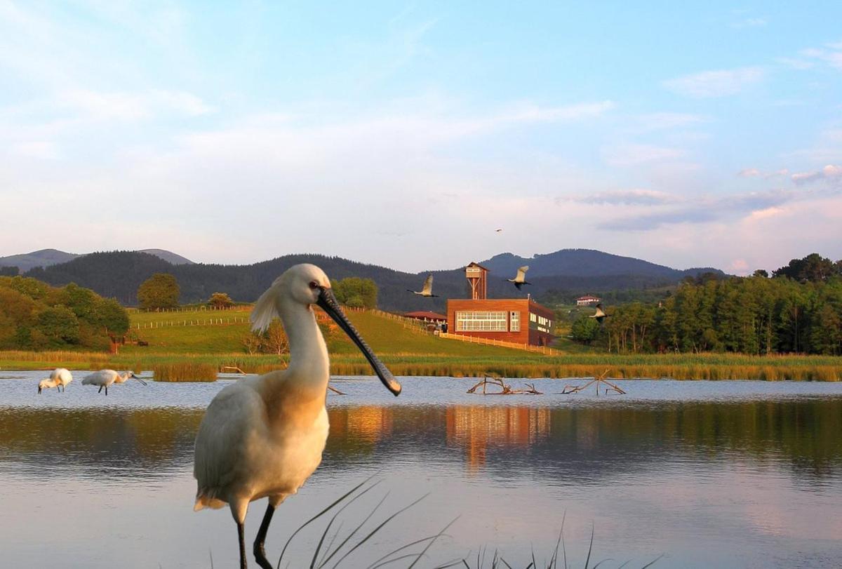 Willa Adosado En La Costa Con Excelentes Vistas Al Estuario De Urdaibai Mundaka Zewnętrze zdjęcie